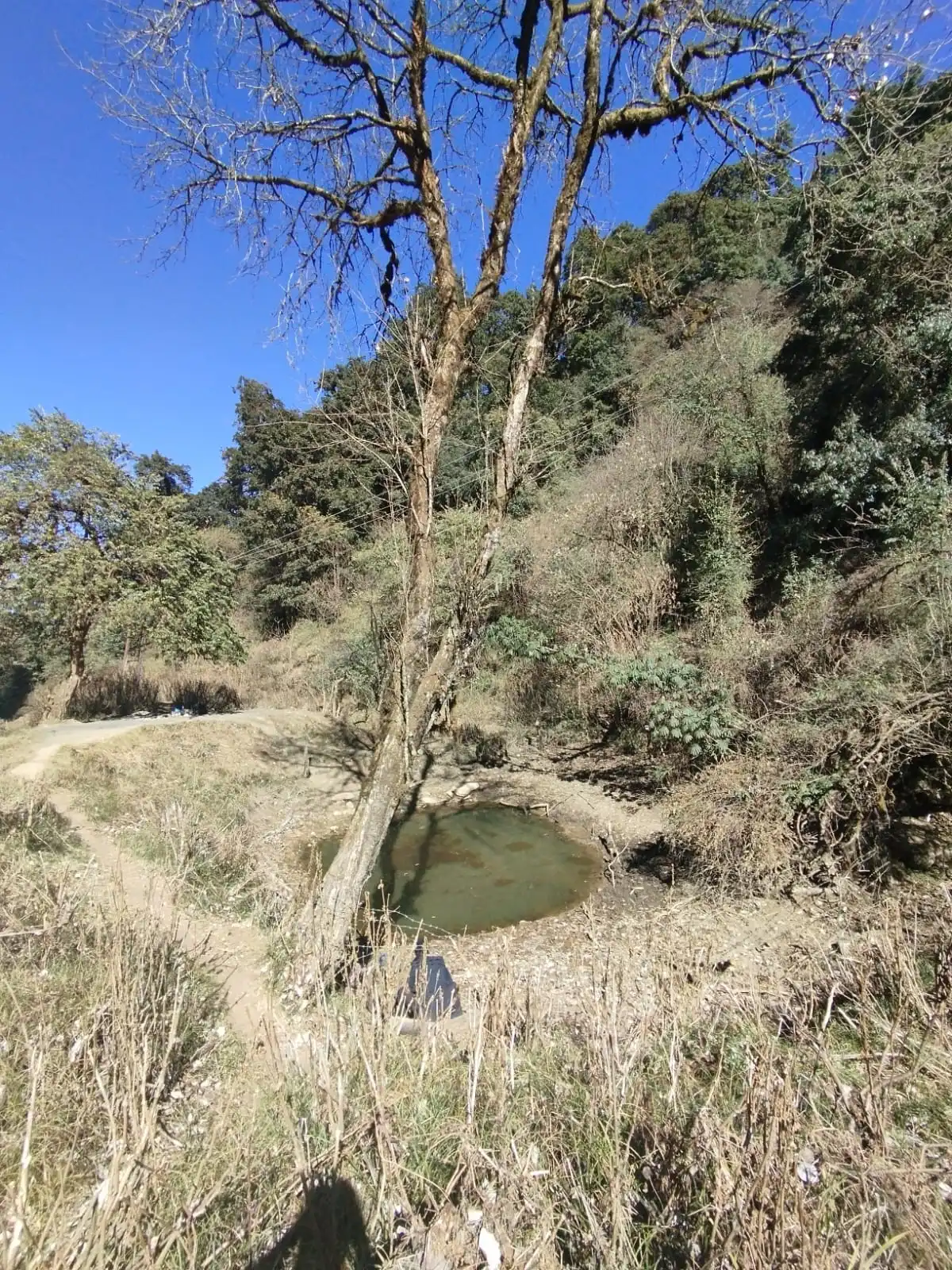 Famous Pond for Bird watching and bird videography during Phulchowki hike